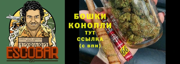 метадон Новодвинск