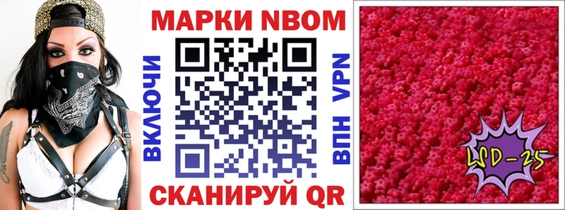 мега ССЫЛКА  как найти закладки  Новая Ладога  Наркотические марки 1,5мг 