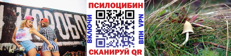 Галлюциногенные грибы прущие грибы  Новая Ладога 